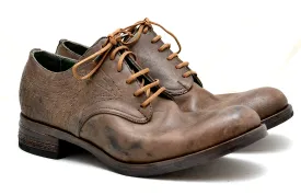 Asym Derby  |  Brown frisone horse