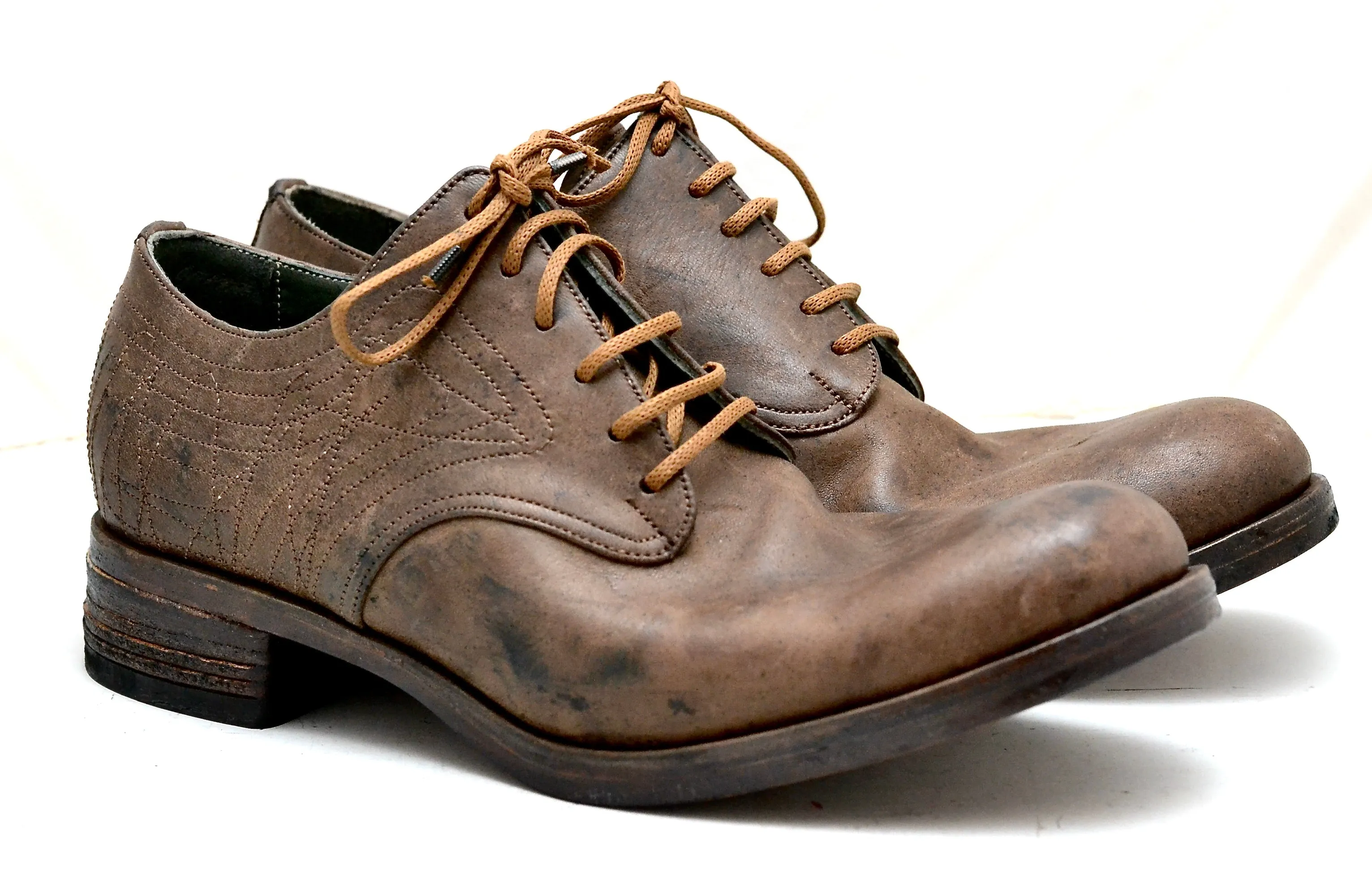 Asym Derby  |  Brown frisone horse